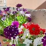 Su Fassoi 3* Кабрас