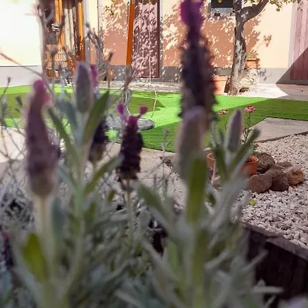 Bed & Breakfast Su Fassoi Cabras
