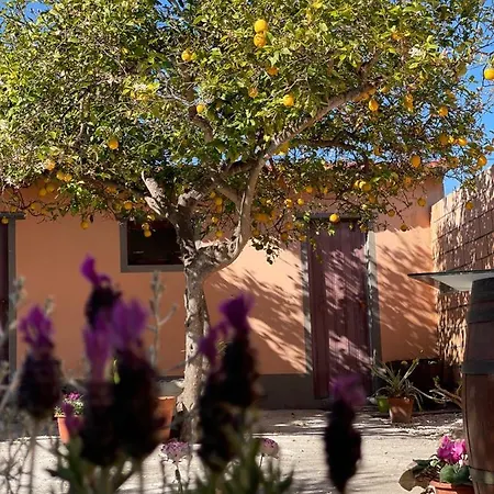 Su Fassoi 까브라스