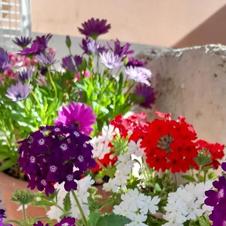 Su Fassoi 3* 까브라스